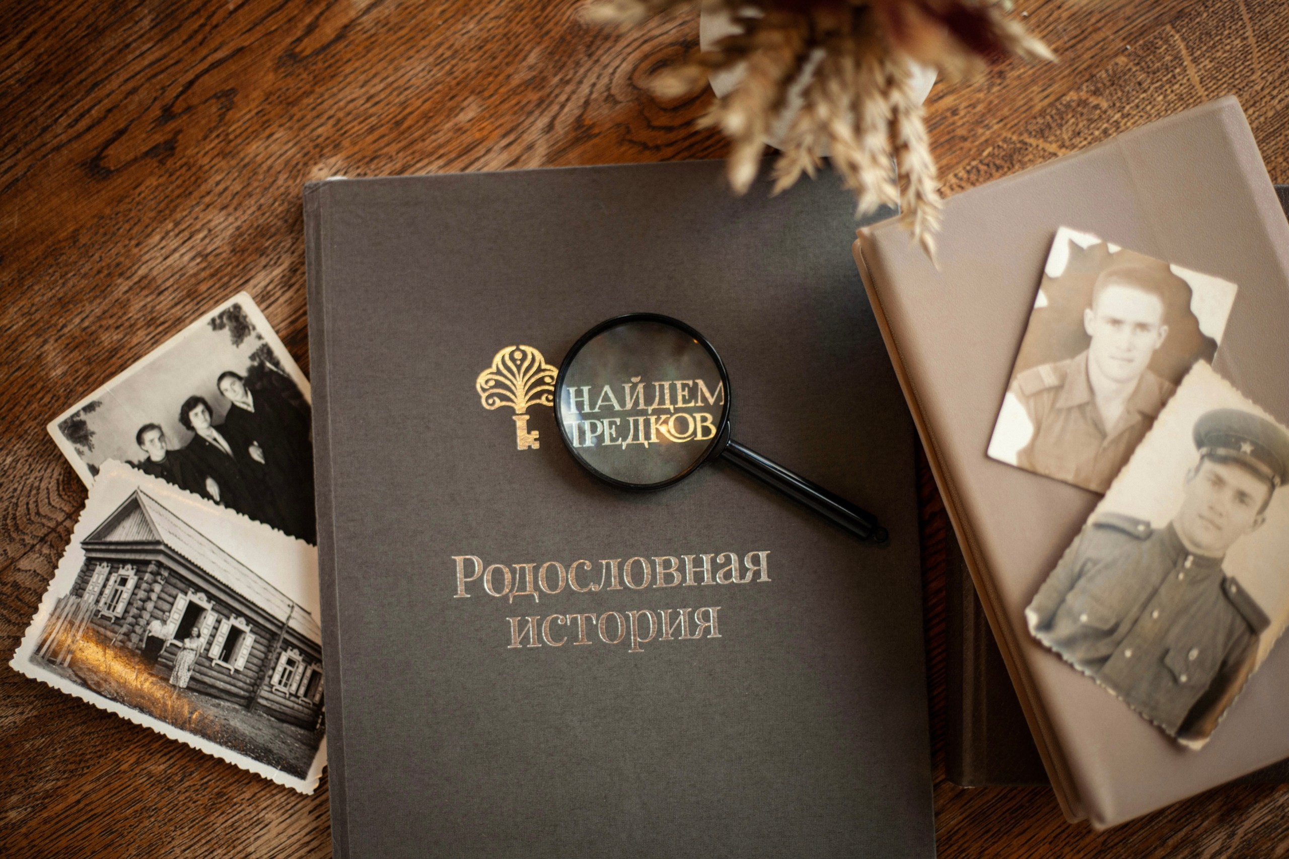 Эпигенетика и род: как память предков формирует нас